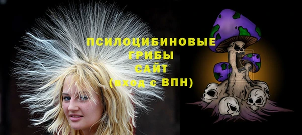 тгк Беломорск